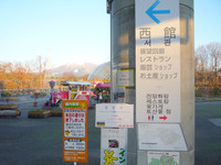 Medium_とっとり花回廊 (11)s
